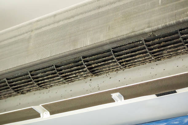 Air Duct Mold Removal in Easley, SC